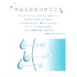 画像8: 【送料無料】アイレ　プライムワンデー　30枚入　1箱 (8)